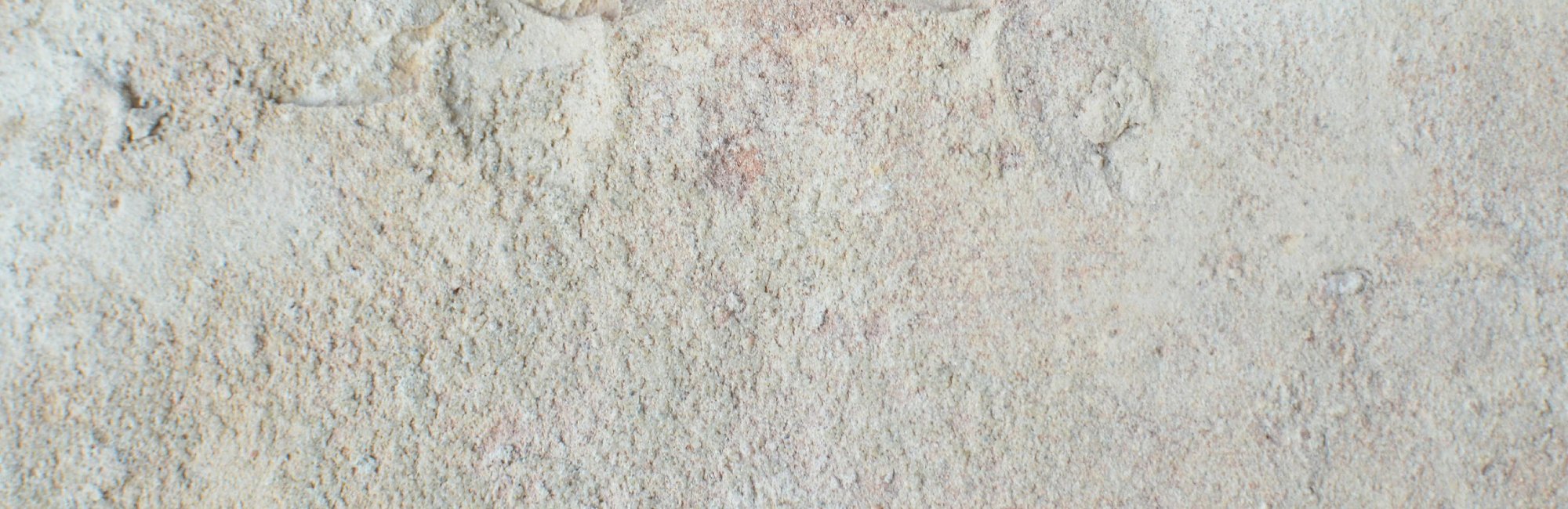 Textured background behind newsletter signup form — neutral tones